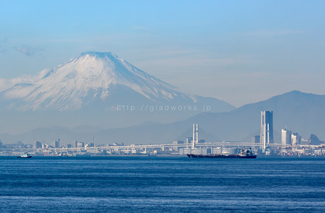 横浜市街地と富士山