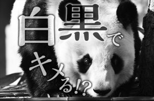 【裏ワザデザイン】白黒写真で広告をカッコ良く!? | 岡山の広告とホームページ制作のグラッドワークス