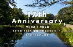 17th Anniversary