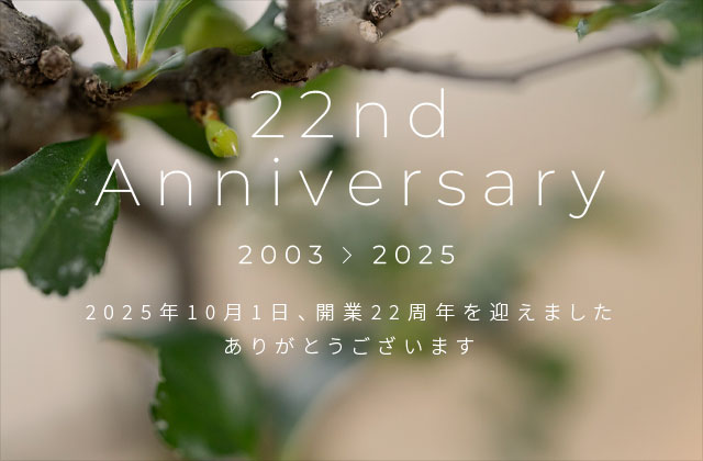 22nd Anniversary
