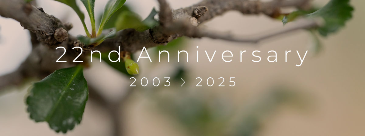 19th_anniversary